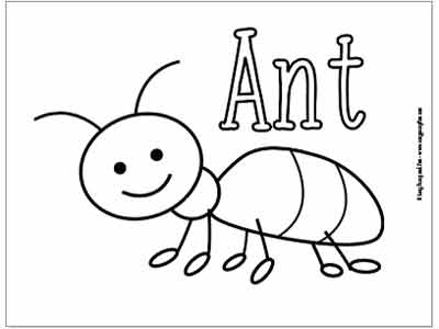 ant coloring