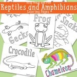 Reptiles Coloring Pages