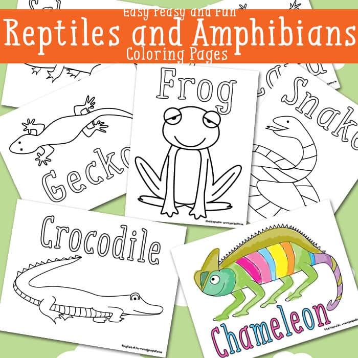 Reptiles coloring page