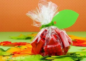 LEGO Apple Treat Bag
