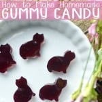 Homemade Gummy Candy