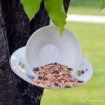 DIY Teacup Birdfeeder Craft for Little Ones