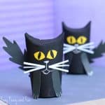 Paper Roll Black Cat