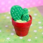 Rock Cactus Craft