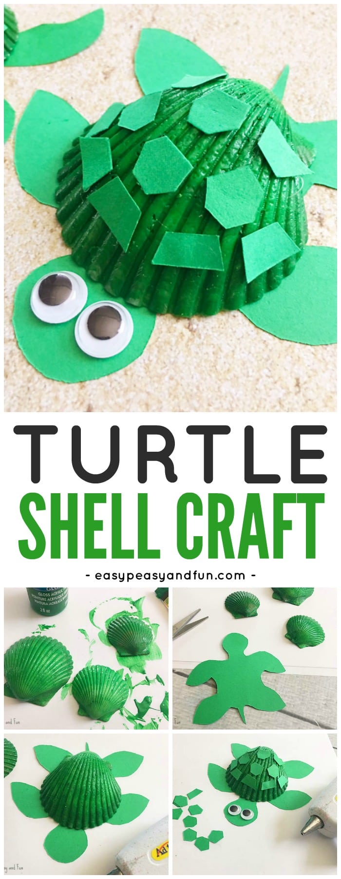 Adorable Seashell Turtle Craft for Kids