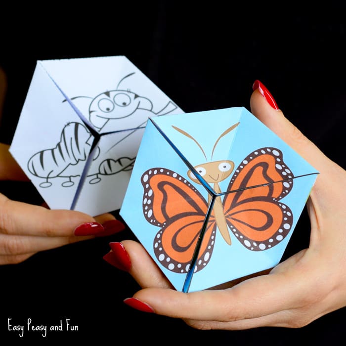 Butterfly Life Cycle Paper Toy