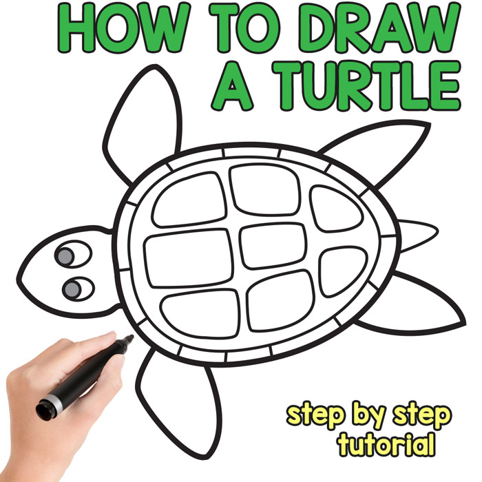How to Draw a Turtle Step by Step Drawing Tutorial
