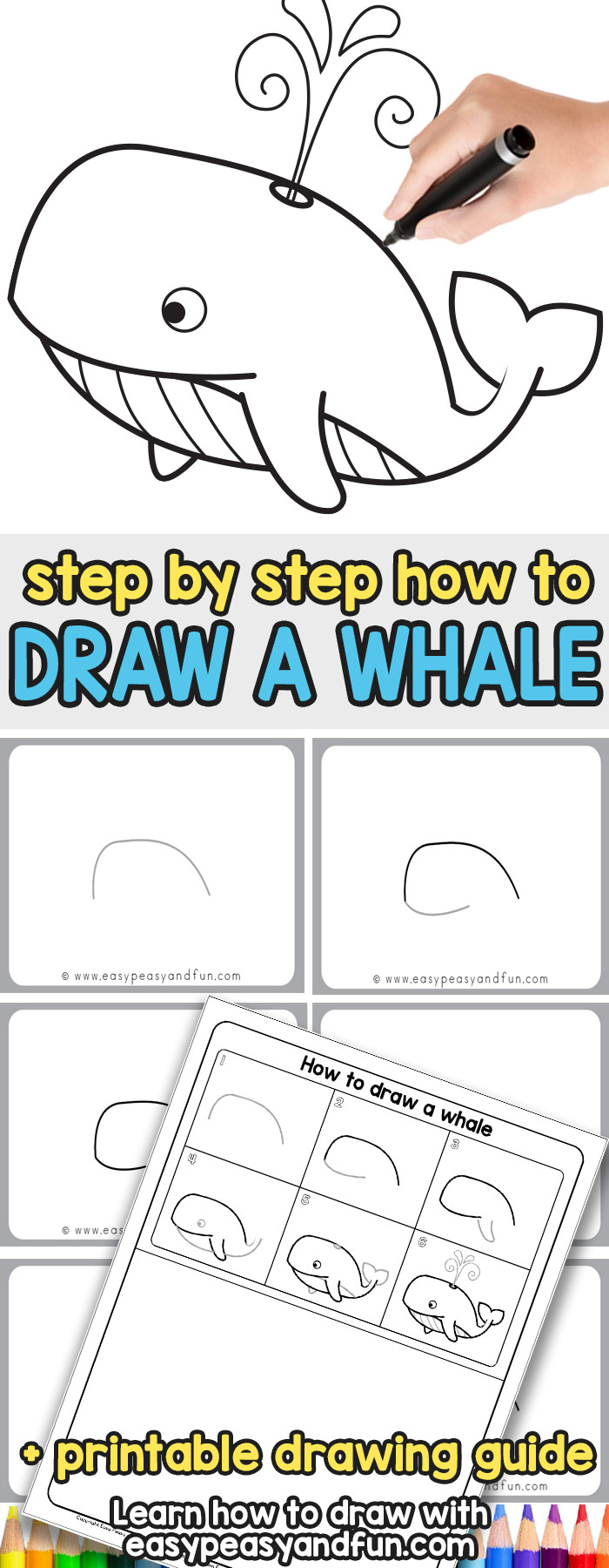 How to Draw a Whale Step by Step Tutorial for Kids (Cartoon Style)