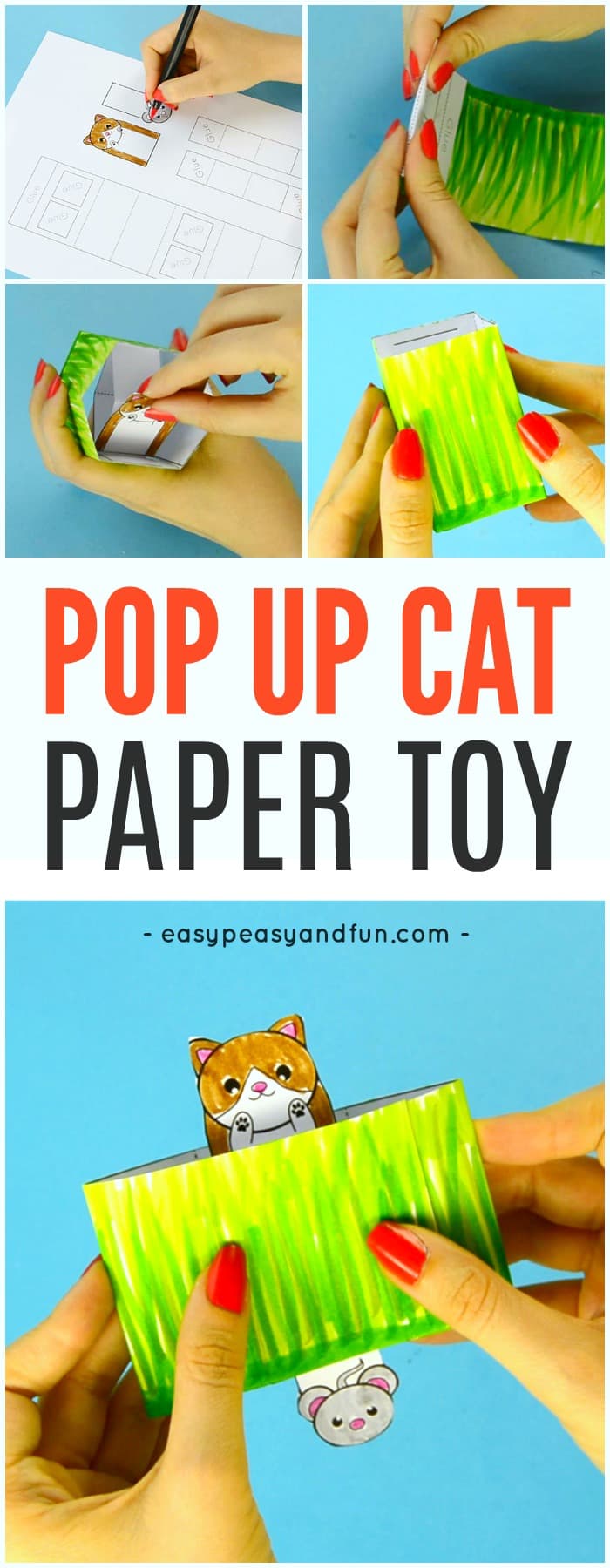 Paper Cat Pop Up Box Toy for Kids