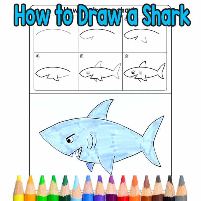 how to draw sea animals Archives - Easy Peasy and Fun