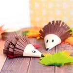 Cute Hedgehog Paper Craft