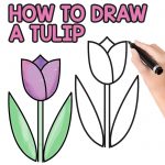 Easy Tulip Directed Drawing for Kids