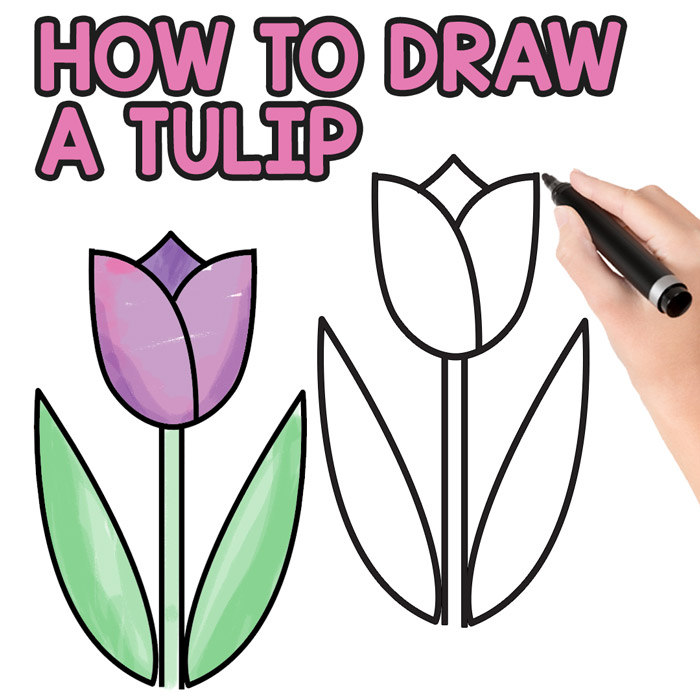Lined drawing of simple tulips for children