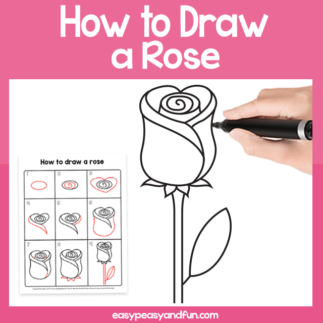 How to Draw a Rose - Easy Step by Step For Beginners and Kids - Easy Peasy  and Fun