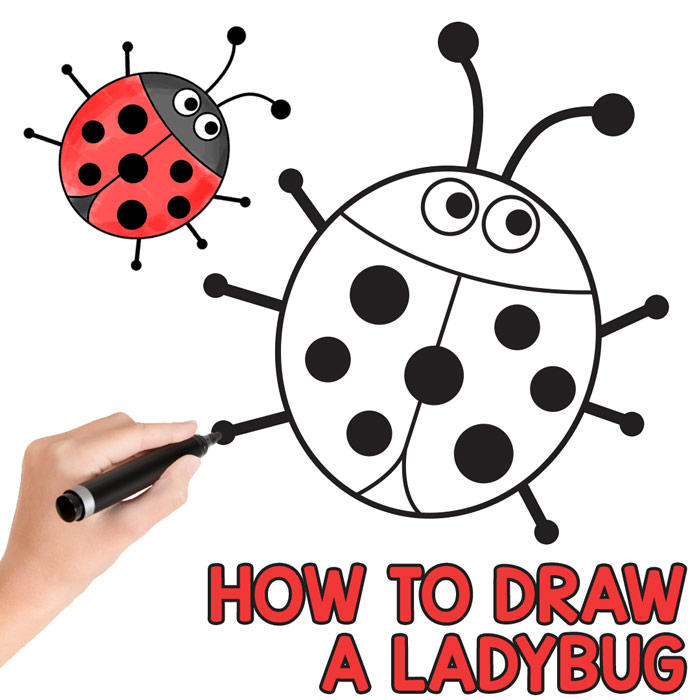 Ladybug Directed Drawing Tutorial
