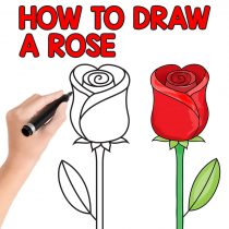 How to draw a rose - easy step by step for beginners and children