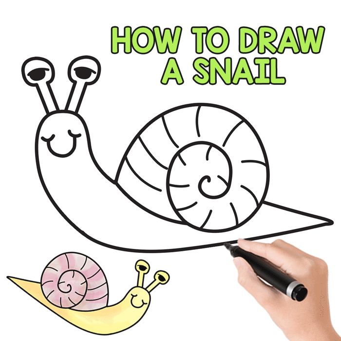 How to Draw a Snail (cute) - Easy Step by Step Tutorial - Easy Peasy and Fun