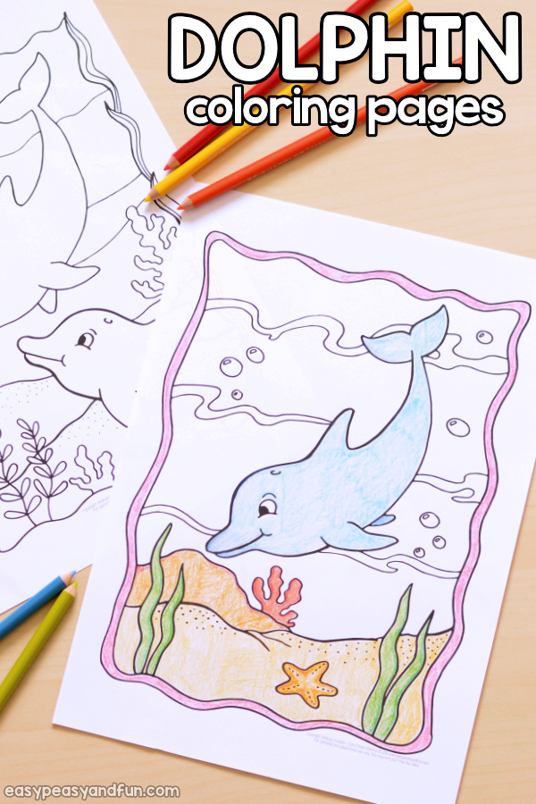 Coloring Dolphins for Kids