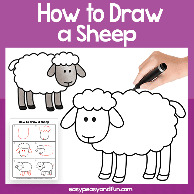 How do you draw sheep?