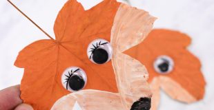 Fox Craft for Kids