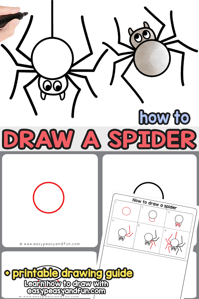 How to Draw a Spider - Guided Drawing Lesson for Beginners 