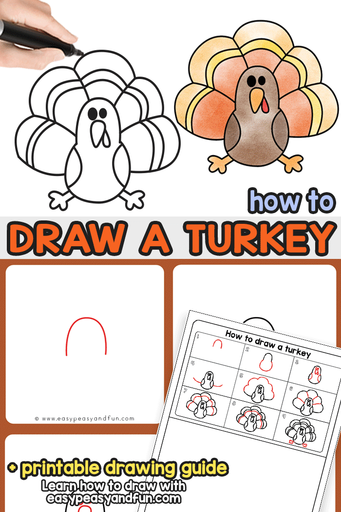 How to Draw a Turkey - Step by Step Turkey Drawing Instructions