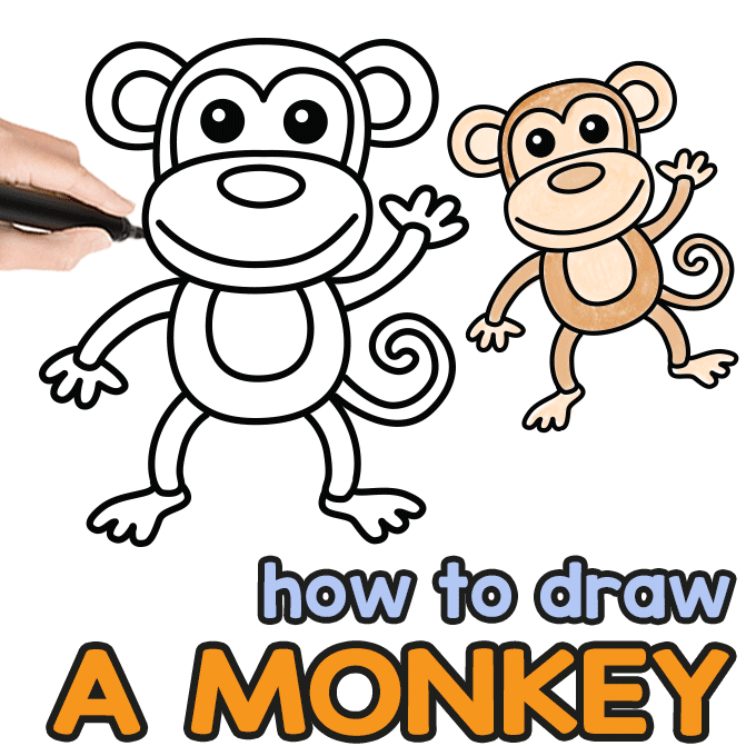 How to Draw a Monkey – Step by Step Drawing Guide - Easy Peasy ...