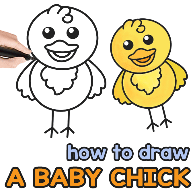 Baby Chick Directing Drawing Guide