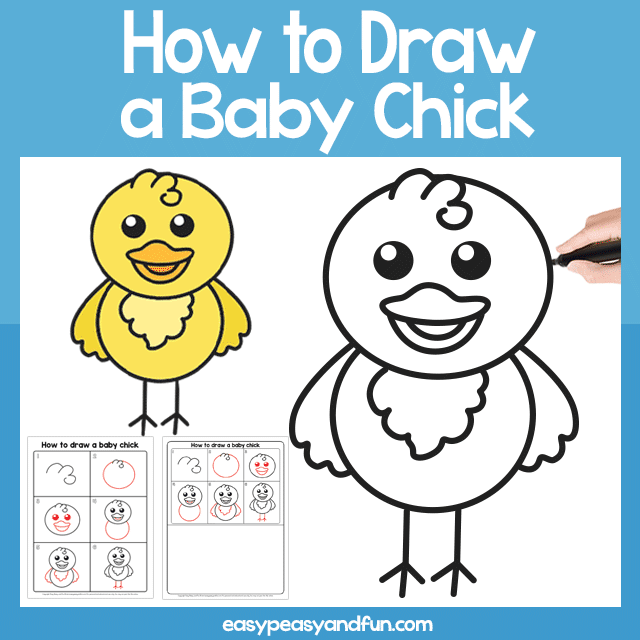 How to Draw a Chick