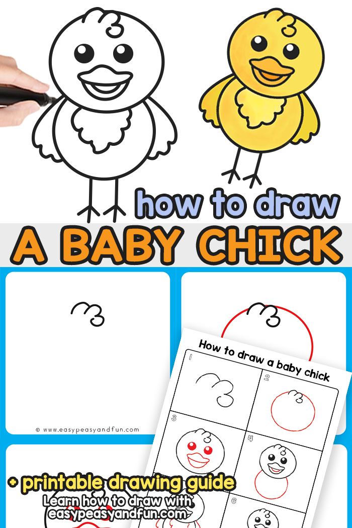 How to draw a chick step by step