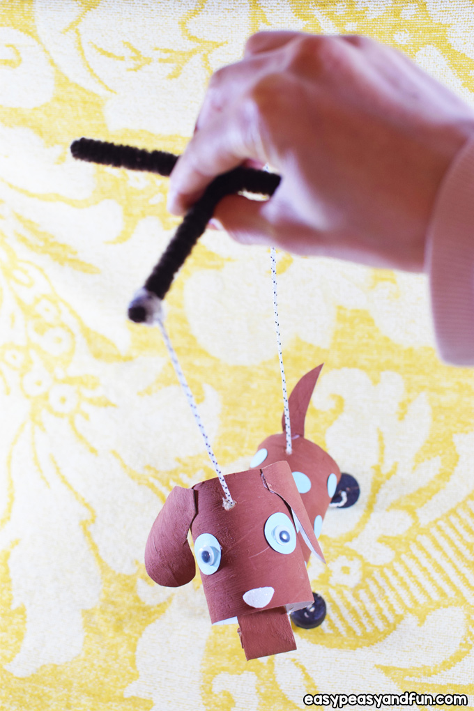 How to make a dog puppet show