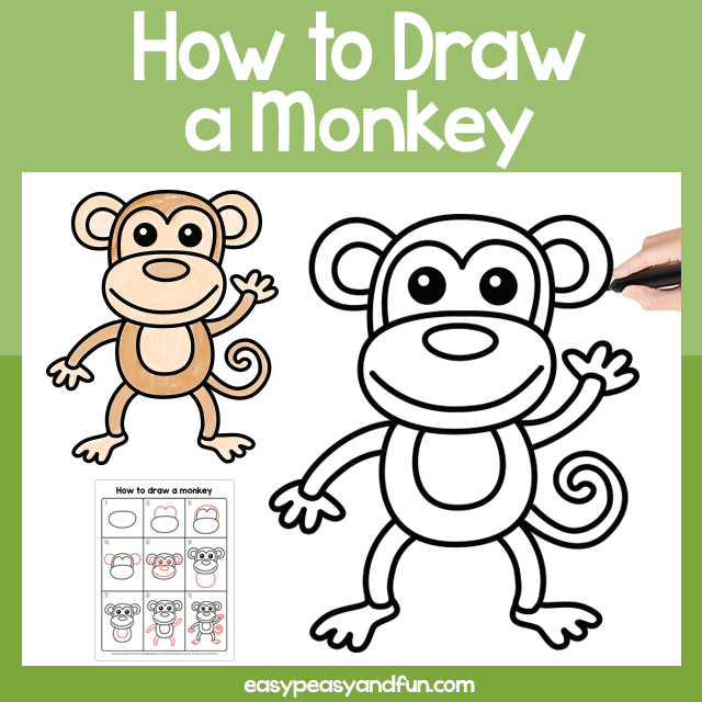 How to Draw a Monkey – Step by Step Drawing Guide - Easy Peasy and Fun