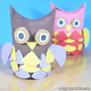 Toilet Paper Roll Owls for Kids