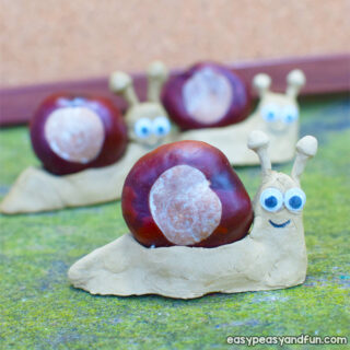 Chestnut Snail Craft for Kids to Make
