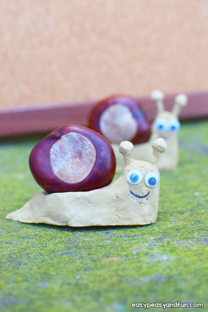 Simple Chestnut Snail Craft for Kids