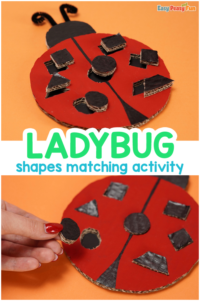 Ladybug Shape Matching Cardboard Activity