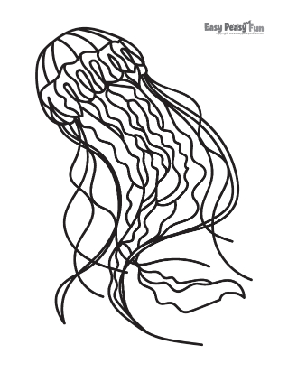 Realistic Jellyfish Coloring Pages