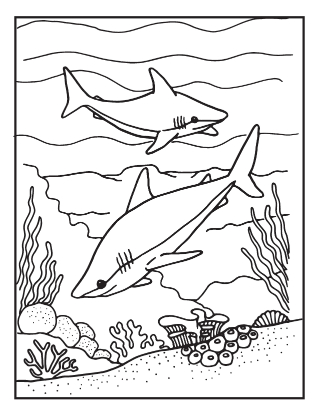 Realistic sharks coloring page