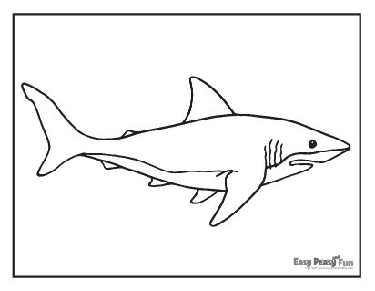 Shark Coloring Sheet