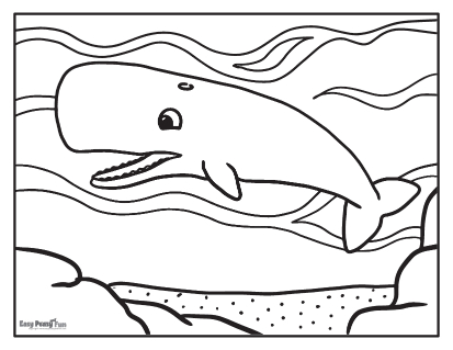 Realistic Whale Coloring Pages
