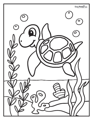 Turtle coloring page So Cute
