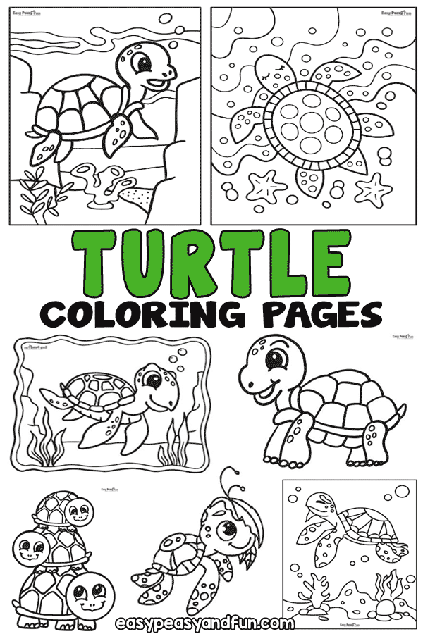 Printable Turtle Coloring Pages