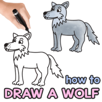 How to Draw a Wolf - Step by Step Drawing Tutorial