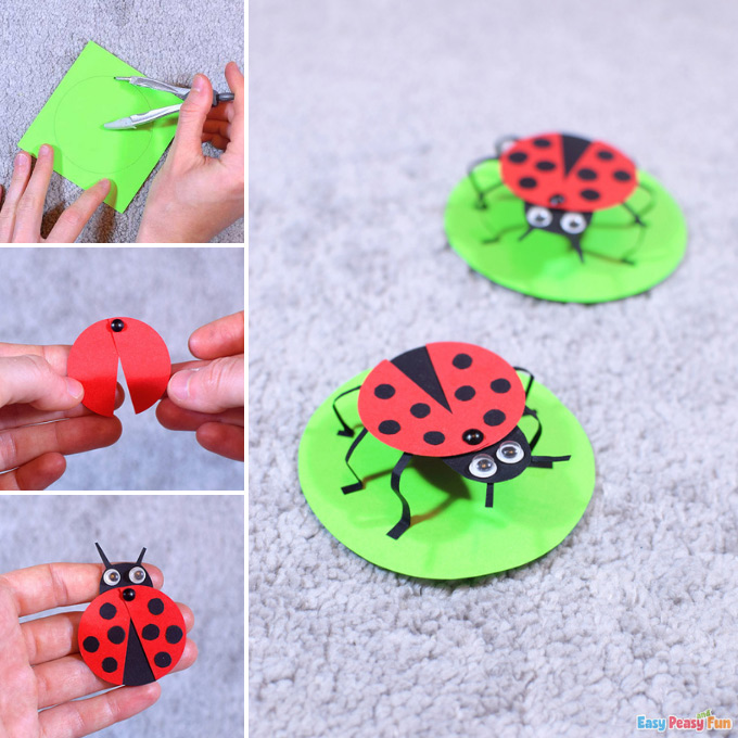 3D Paper Ladybug Craft Idea
