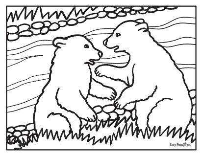 Realistic bear coloring page
