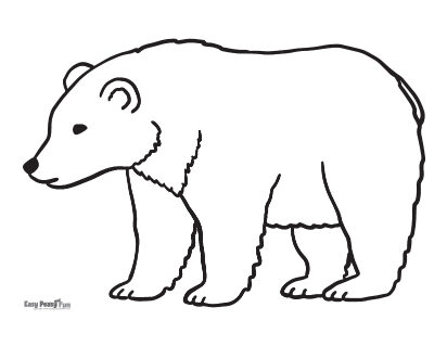 DRAW A BEAR | How to draw a bear... Art works by Johaan john Libin  https://youtu.be/sU6XZSL3NWo | By KIDS CLUB Drawing | Facebook