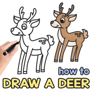 Deer Directed Drawing Guide