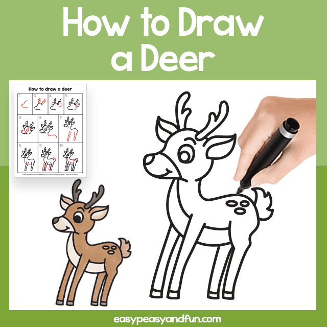 Deer Guided Drawing Printable