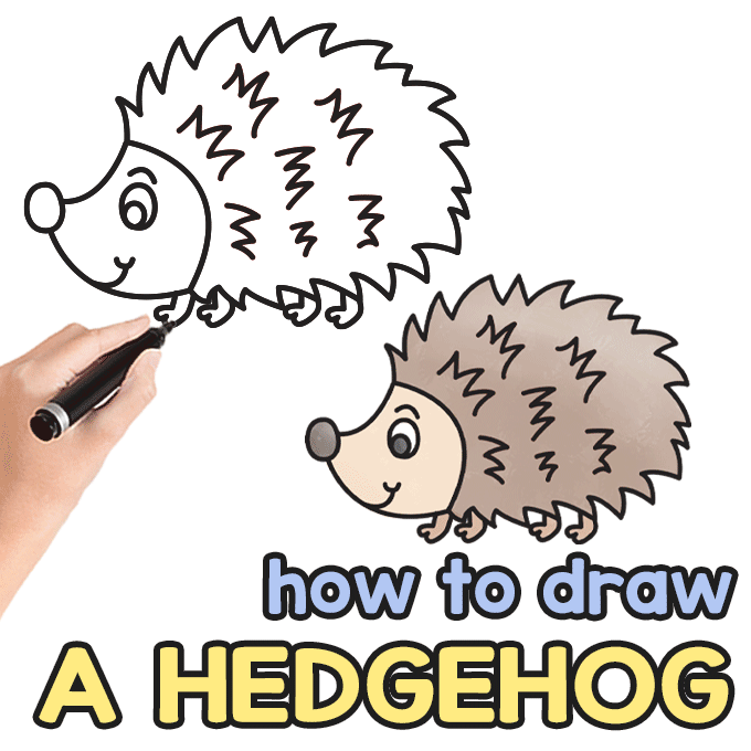Hedgehog Directed Drawing Guide