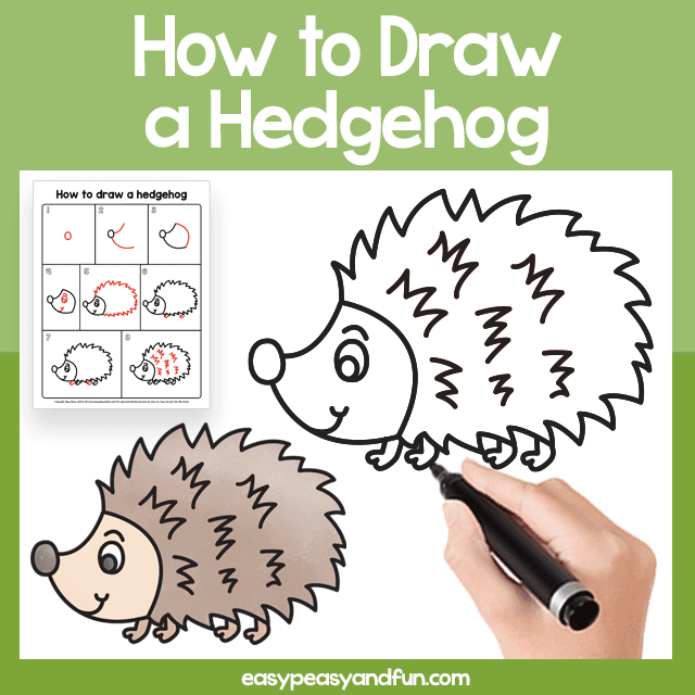 Hedgehog Guided Drawing Printable